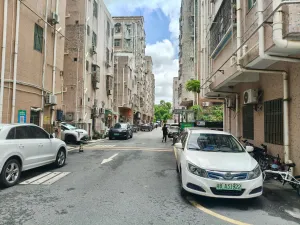 牛成村