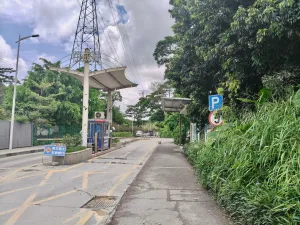 牛成村