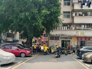 文光村