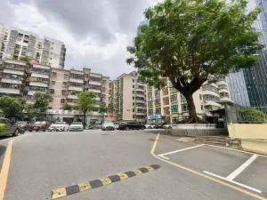 文光村
