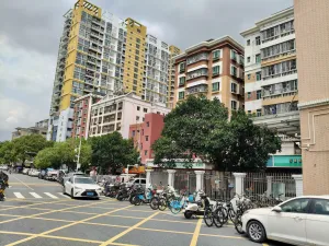 文光村