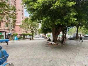 文光村