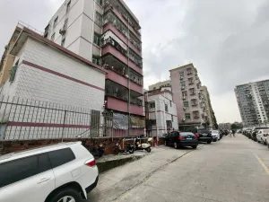 珠光村
