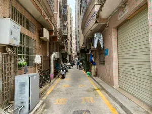 珠光村