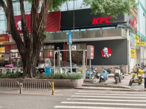 珠光村