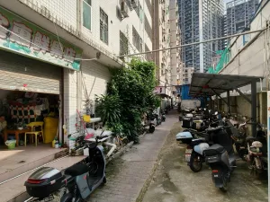 白石洲村
