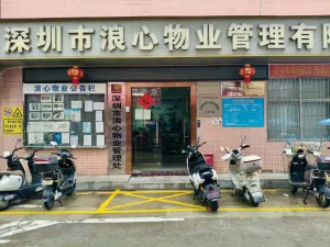 浪心村
