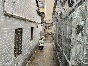 上排村