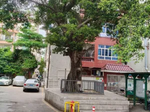沙浦村