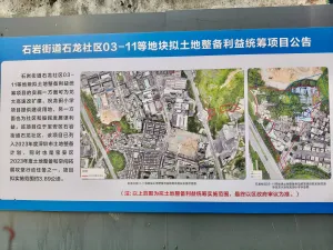 石龙村