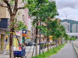田心村